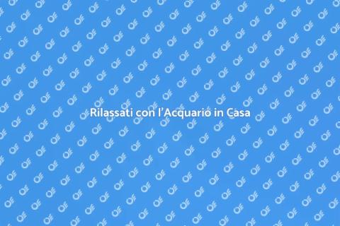 Acquario per il Benessere e Relax