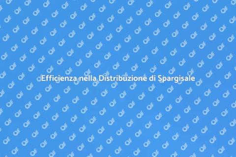 Ottimizzazione Spargisale Invernale