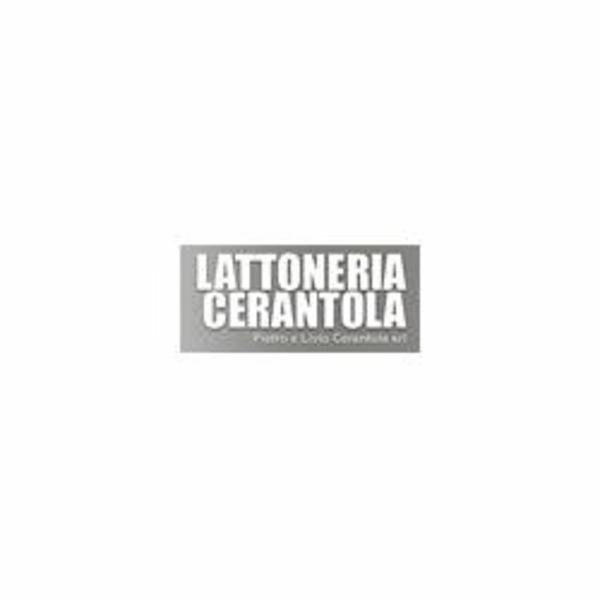 Lattoneria Cerantola Pietro e Livio  - Foto 1