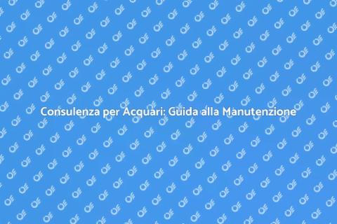 Manutenzione Acquario: Consulenza Essenziale