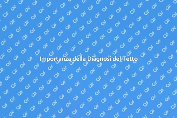 Sicurezza e Diagnosi del Tetto