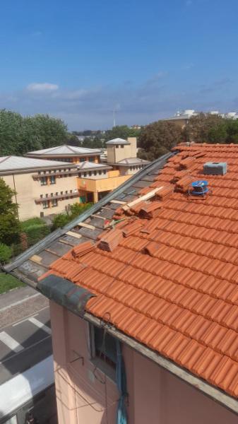 Impresa D.M.C. di Lorenzo Di Blasi - Foto 2