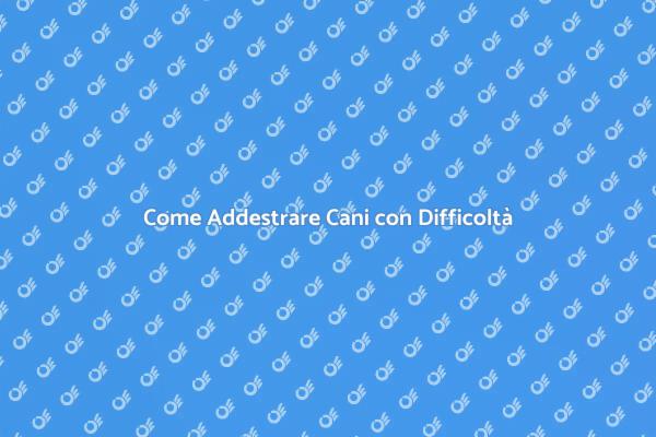 Supera le Difficoltà dell'Addestramento