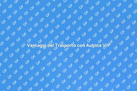 Trasporto VIP: Vantaggi di un Autista