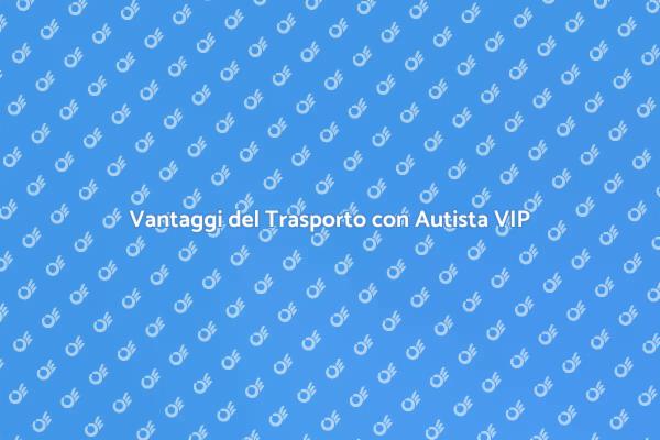 Perché Scegliere un Autista per Viaggi VIP
