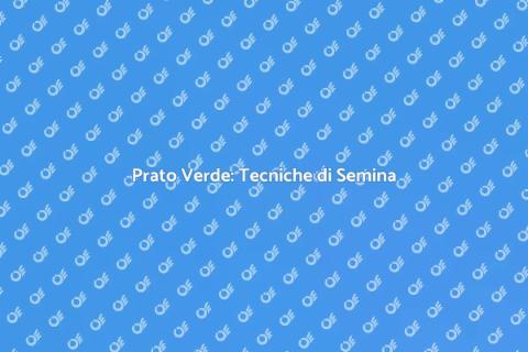 Semina del Prato: Guida Pratica