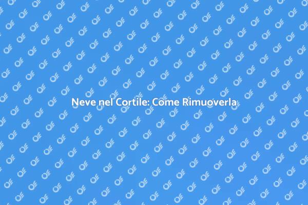 Come Gestire la Neve nel Cortile