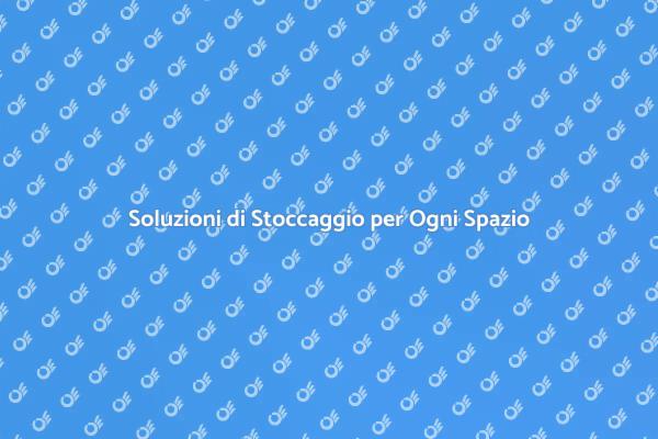 Contenitori per un'Organizzazione Perfetta