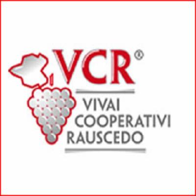 Vivai Rossi  - Foto 4