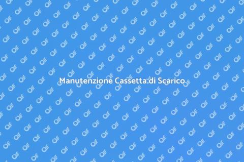 Riparazione Cassetta di Scarico