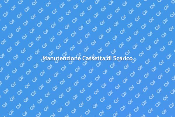 Essenziale: Riparazione Cassetta di Scarico