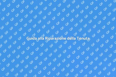 Riparare Problemi di Tenuta Scarico