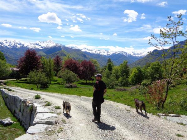 dogsitting, gruppi di dogtrekking e socializzazioni - Foto 2