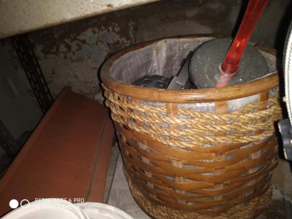 Ditta di luccio - Foto 6