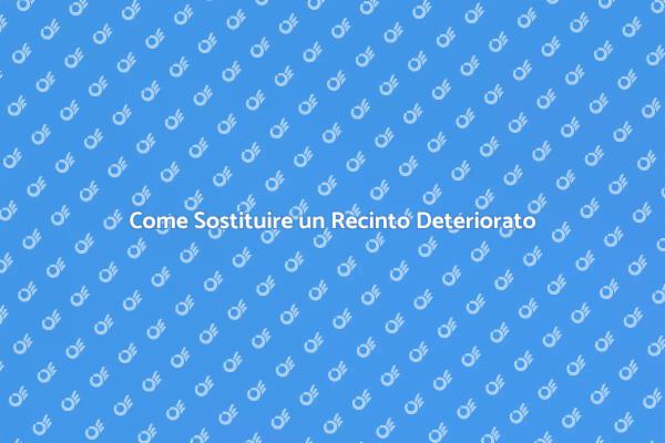 Rinnova il Tuo Giardino con un Nuovo Recinto