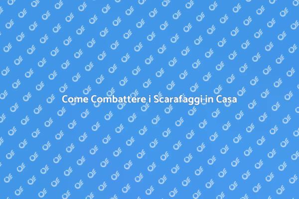 Liberati dai Scarafaggi in Casa!