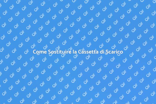 Sostituisci la Cassetta di Scarico Facile