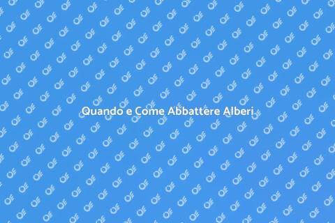 Abbattere Alberi in Giardino: Guida
