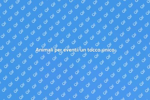 Affitto animali per eventi locali