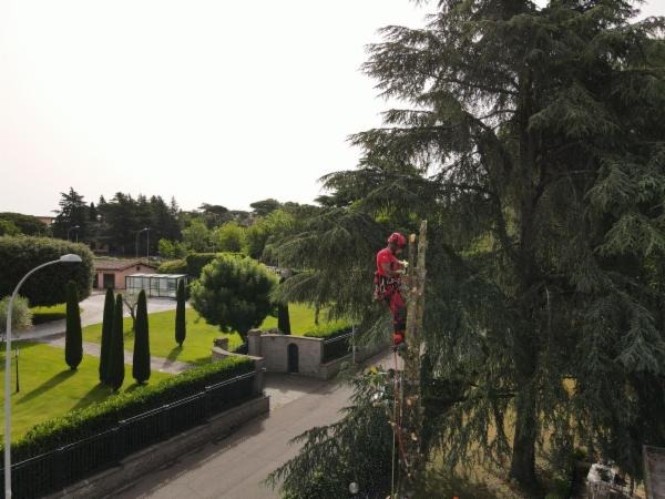 global service srl - Foto 5