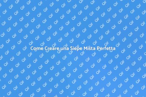 Siepe Mista: Guida alla Creazione