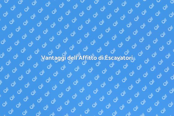 Escavatore Compatto: Scegli l'Affitto
