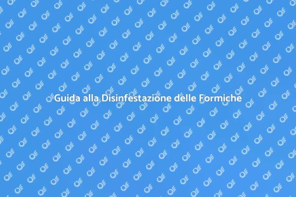 Come Eliminare le Formiche in Casa