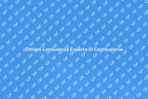 Consulenza Esperto in Costituzione