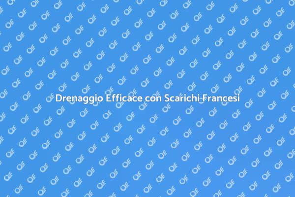 Scarichi Francesi: La Soluzione di Drenaggio