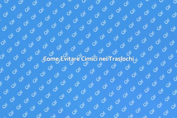 Evita le Cimici durante il Trasloco