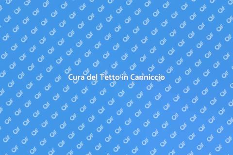 Manutenzione Tetto in Canniccio