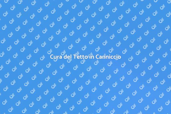 Come Mantenere il Tetto in Canniccio