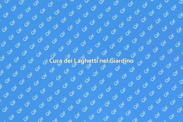 Manutenzione dei Laghetti in Giardino