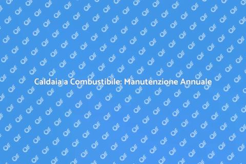 Manutenzione Caldaia a Combustibile