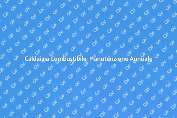 Caldaia a Combustibile: Manutenzione Essenziale