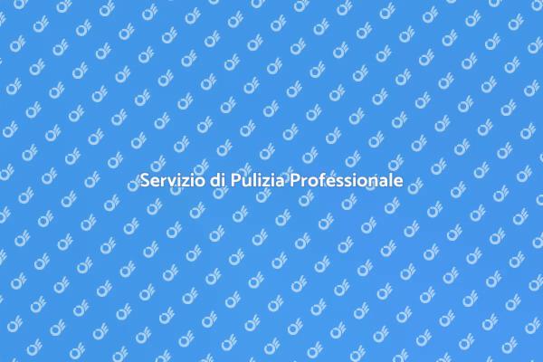 Pulizia Efficace per Ogni Ambiente