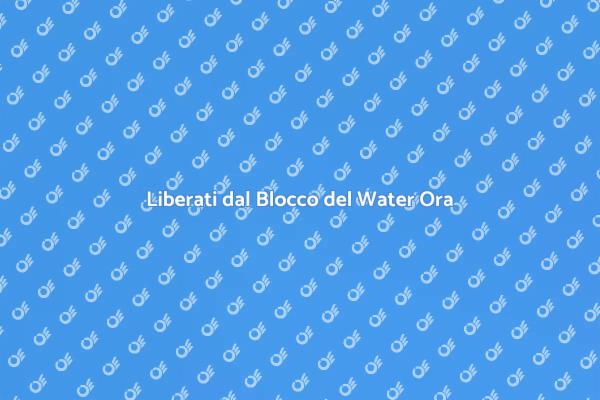 Soluzioni Rapide per il Blocco del Water