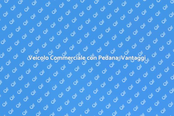 Trasporto Efficiente con Veicoli Commerciali