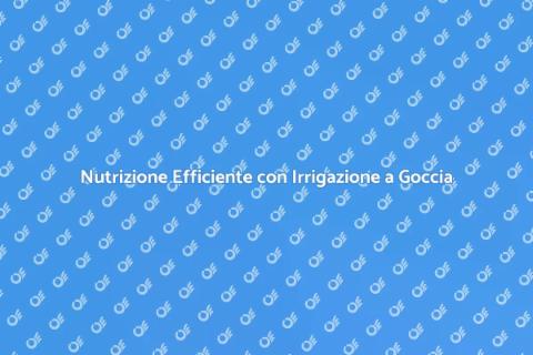 Irrigazione a Goccia per Piante