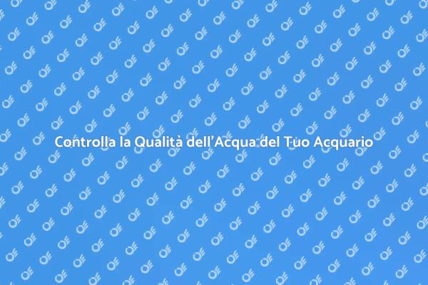 Salva i Tuoi Pesci: Controlla l'Acqua