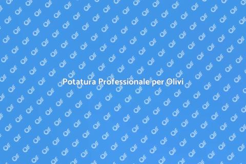 Potatura Olivo di Qualità