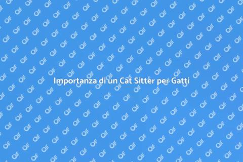 Cat Sitter Esperto per Gatti Malati