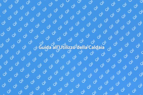 Ottimizza l'Uso della Caldaia a Condensazione