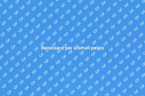 Massaggiatore per animali pelosi
