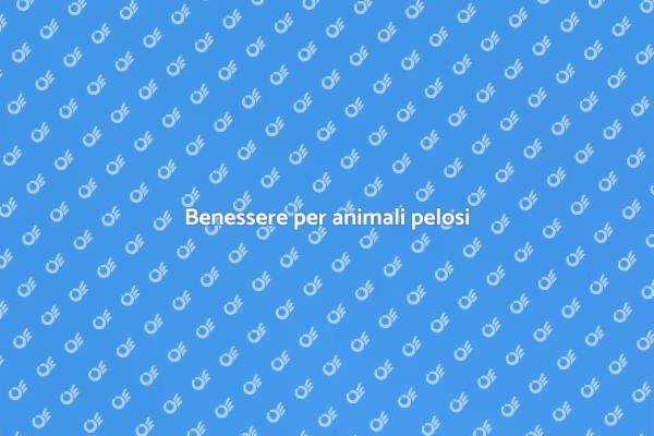 Scopri il massaggiatore per animali