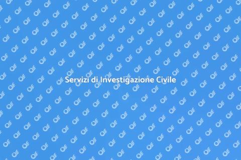 Investigazione Civile: Verità e Servizi