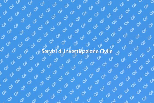La Verità nell'Investigazione Civile
