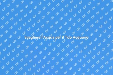 Acqua per Acquario: Guida Essenziale