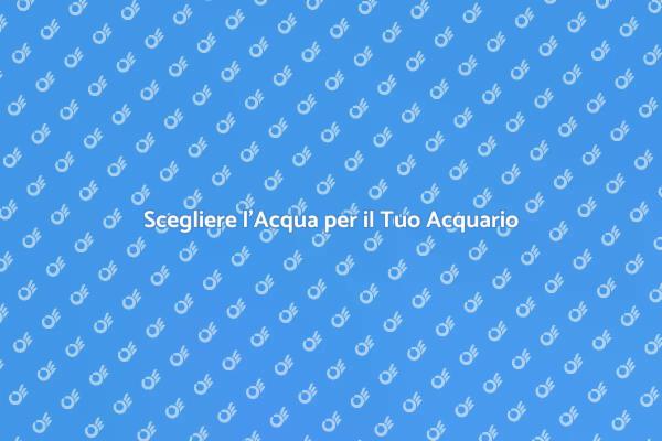 L'Importanza dell'Acqua per l'Acquario