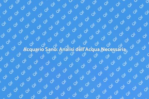 Analisi Acqua Acquario: Guida Essenziale